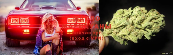 ALPHA-PVP Осинники